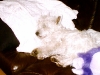 Bild 2.jpg